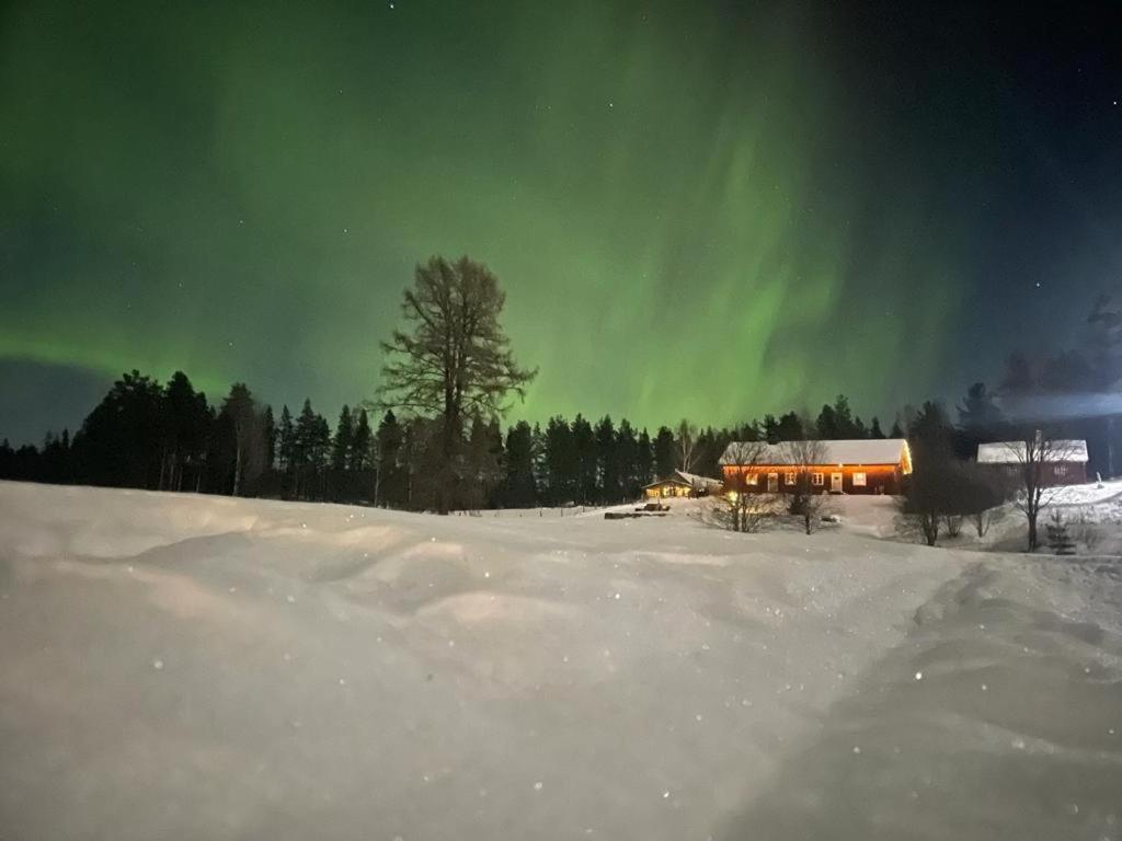 شقة Projekt Schwedenalm Furudal المظهر الخارجي الصورة